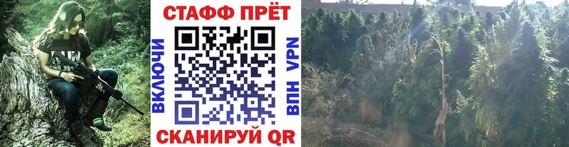 Продажа наркотиков Олонец ГАШ  Бошки Шишки  А ПВП  МЕФ  КОКАИН 
