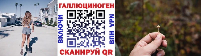 darknet формула  Олонец  Псилоцибиновые грибы мицелий 